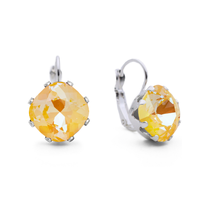 All Sun &amp; Games Leverback Drop Earrings